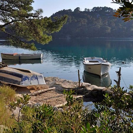 Authentic Ap For 2, Babino Polje,Mljet 아파트 외부 사진
