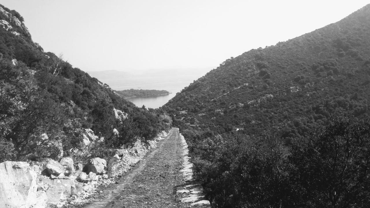Authentic Ap For 2, Babino Polje,Mljet 아파트 외부 사진
