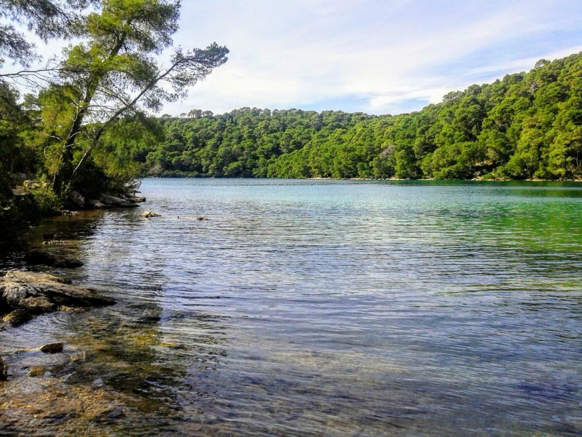 Authentic Ap For 2, Babino Polje,Mljet 아파트 외부 사진