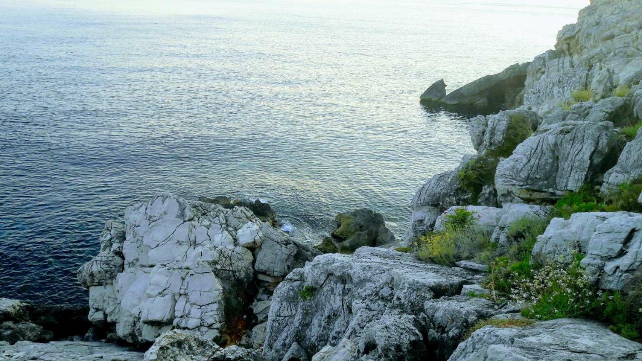 Authentic Ap For 2, Babino Polje,Mljet 아파트 외부 사진