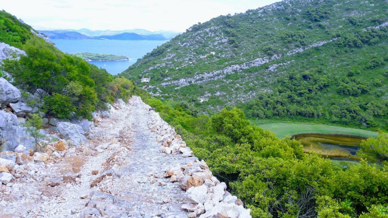 Authentic Ap For 2, Babino Polje,Mljet 아파트 외부 사진